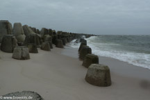 DMC-TZ8 mit  1/500 Sek. bei f / 5,6 und ISO 80