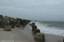 DMC-TZ8 mit  1/400 Sek. bei f / 5,6 und ISO 80