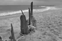 DMC-TZ8 mit  1/500 Sek. bei f / 5,0 und ISO 400