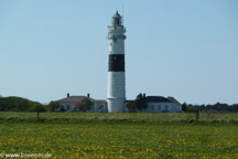 DMC-TZ8 mit  1/500 Sek. bei f / 5,6 und ISO 80